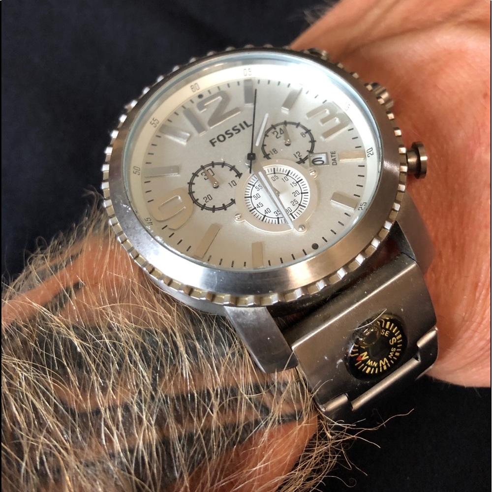 Fossil Watch